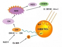 寶寶過敏，“罪魁禍首”是通風除甲醛不徹底