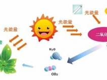 家中甲醛超標，什么才是甲醛治理的正確姿勢？